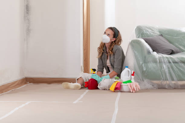 Reliable Mold Remediation contractor in Virginia, VA by WQB Mold Removal